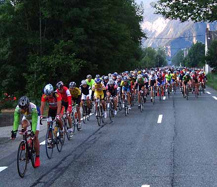 L’Impressionnant peloton avance dans le silence de cette matin�e, 25 ans que le ph�nom�ne se reproduit au mois de juillet&nbsp;! - 29&nbsp;ko
